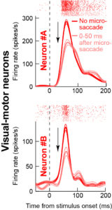 figure 3 0-50 post msacc sample neuron firing rate_revised