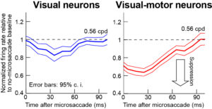 figure 4 summary neurons 0-50 post msac spikes and time course revised