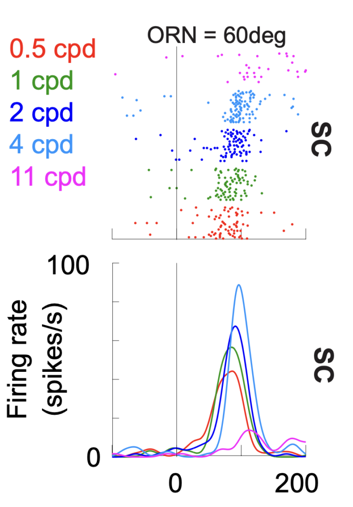 Our 2021 Vision Sciences Society Annual Meeting presentations – Hafed Lab